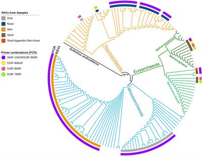 Exploring the Archaeome: Detection of Archaeal Signatures in the Human Body